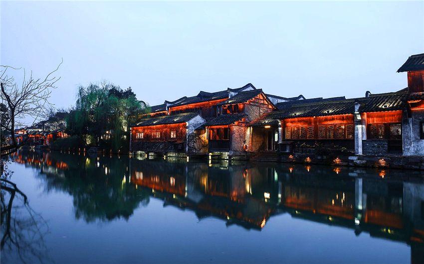 学习插花艺术